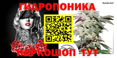 экстази Камышлов