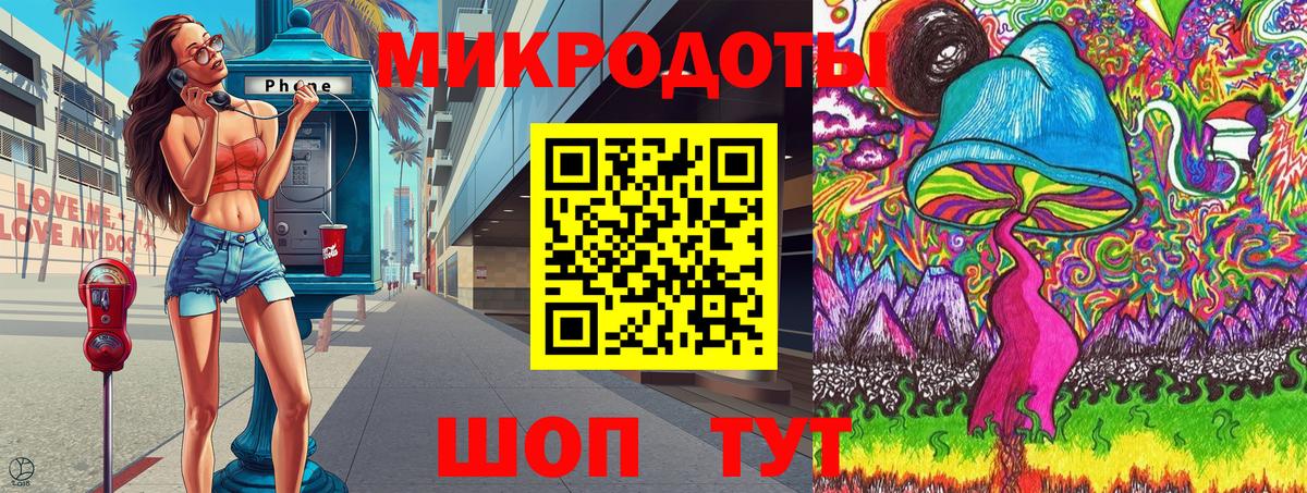 Галлюциногенные грибы Psilocybine cubensis Красноярск